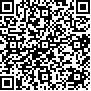 Código QR13199